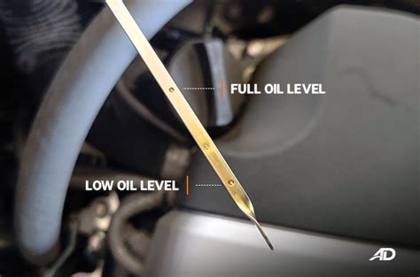 Can You Check Dipstick While Car is Running? An Examination of Car Care Tips and Their Application